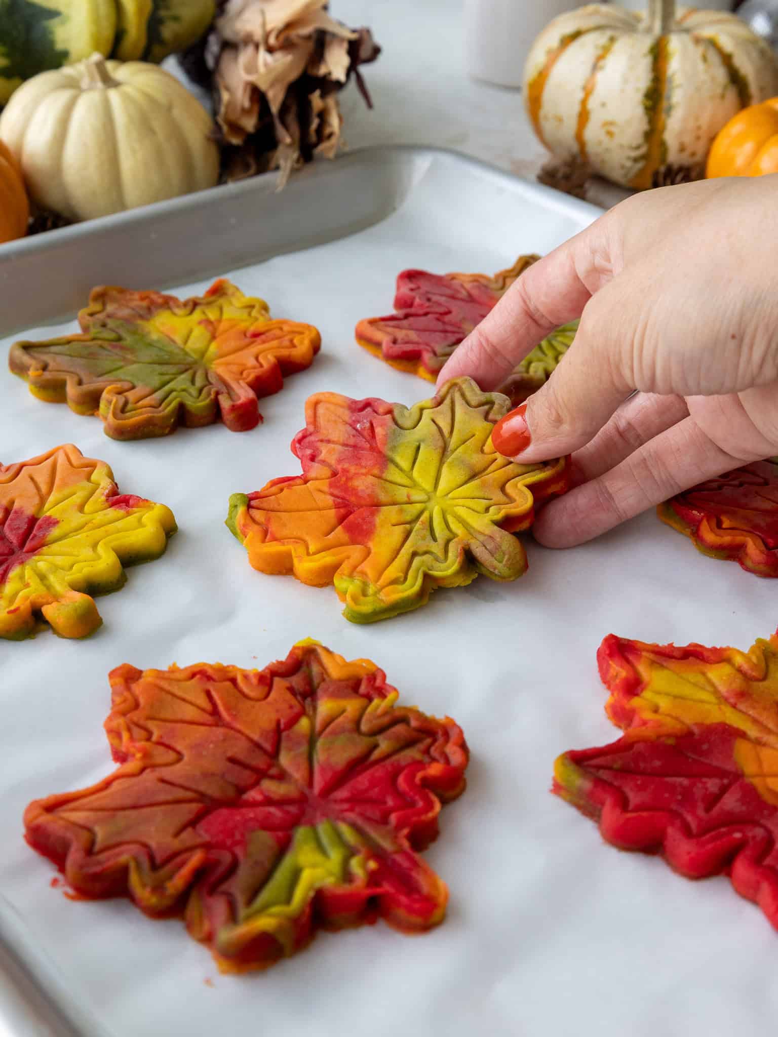 image of marbled maple leaf cookies being placed on a lined baking sheet