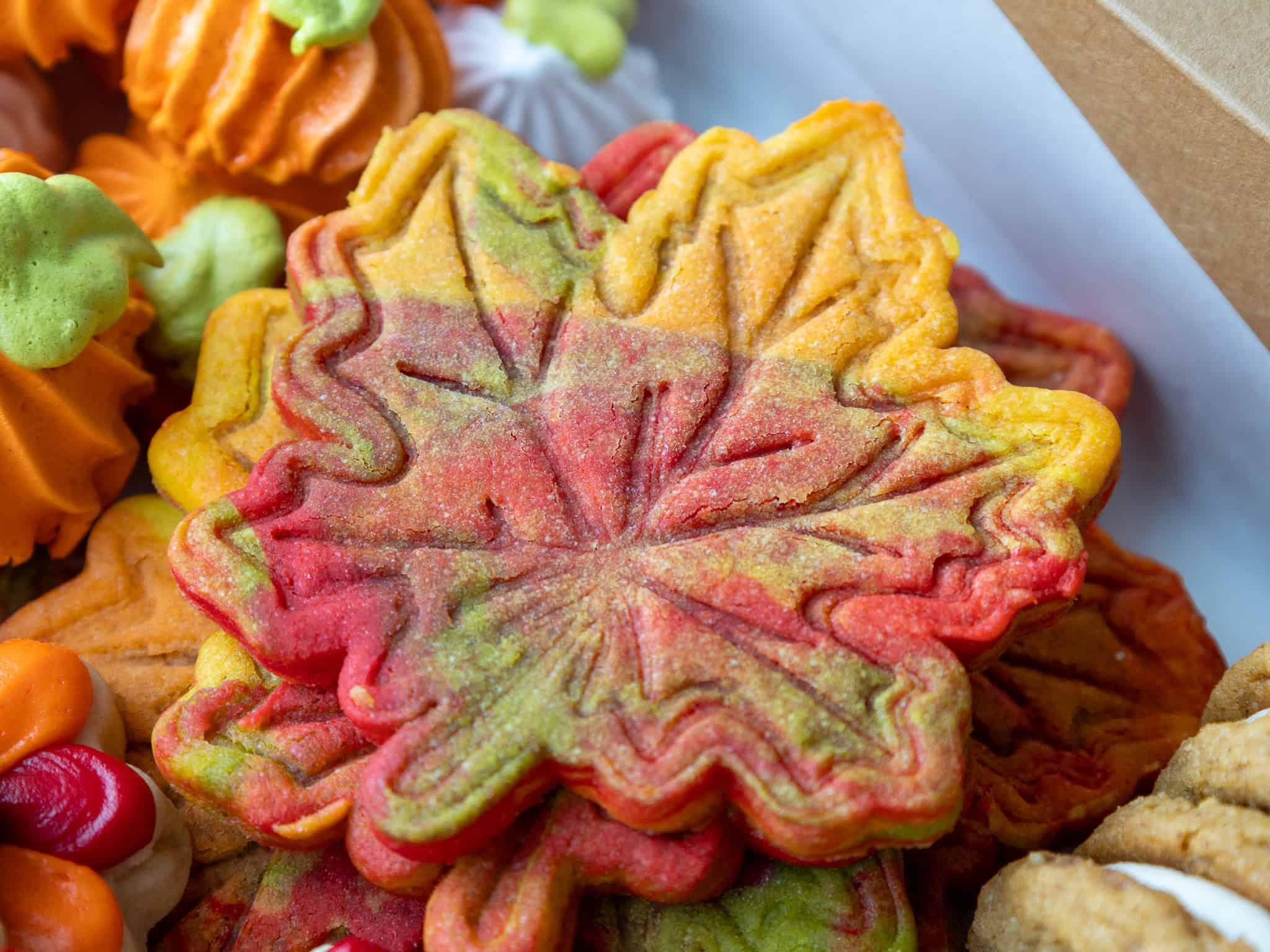 image of a finished marbled maple leaf cookie with red, orange, yellow, and green swirls
